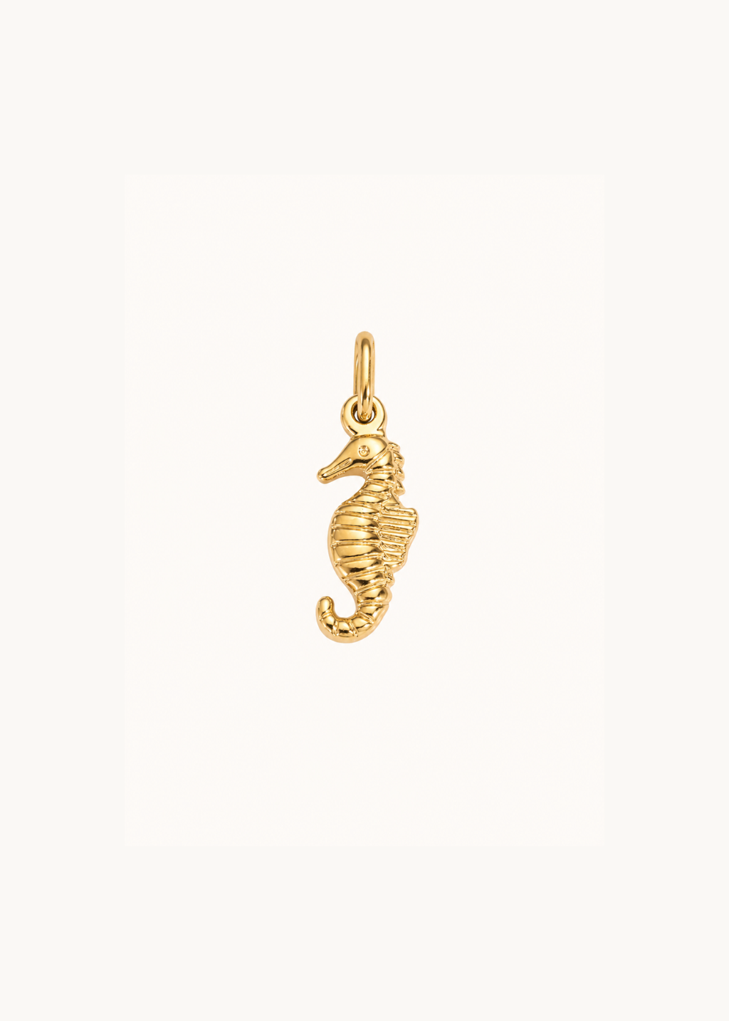 Seahorse Charm