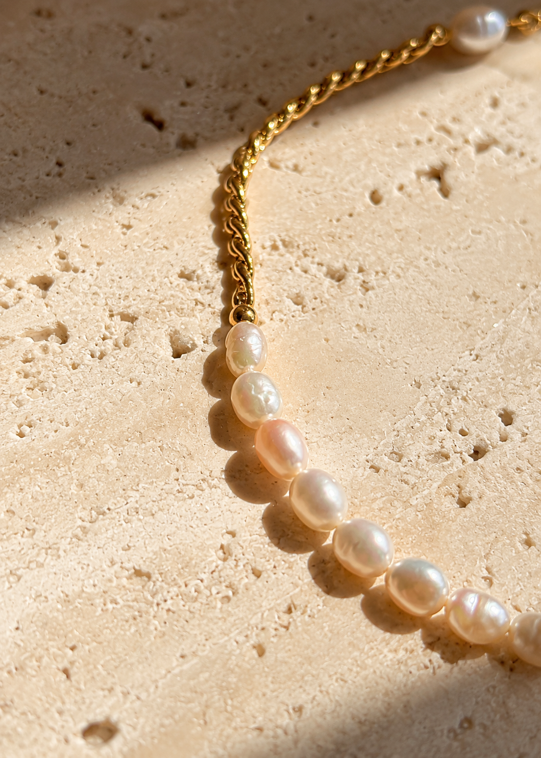 Shorebird Anklet